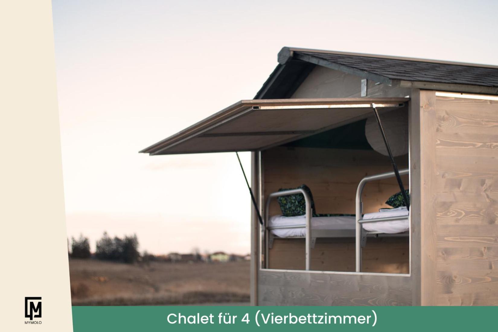 Glamping In Der Zeche Ewald Herten Herten  Exteriör bild