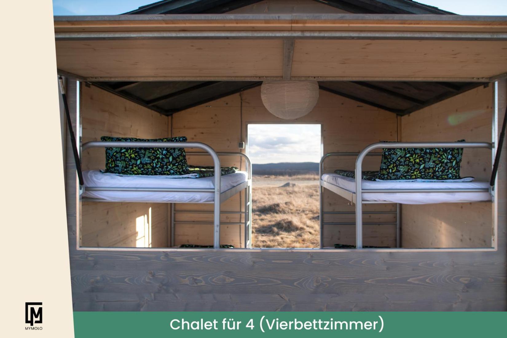 Glamping In Der Zeche Ewald Herten Herten  Exteriör bild